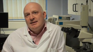 Fertility – The Facts