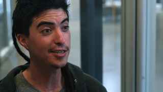 Wildflower – Colorado